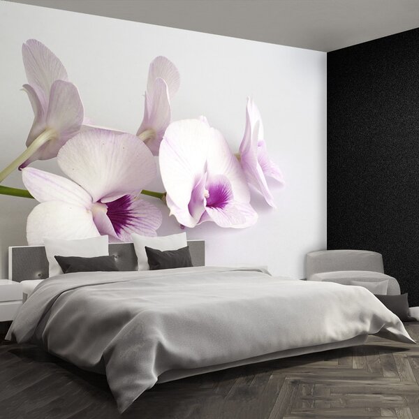 Carta da parati Orchidee bianche 104x70 cm