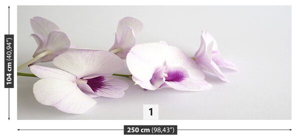 Carta da parati Orchidee bianche 104x70 cm