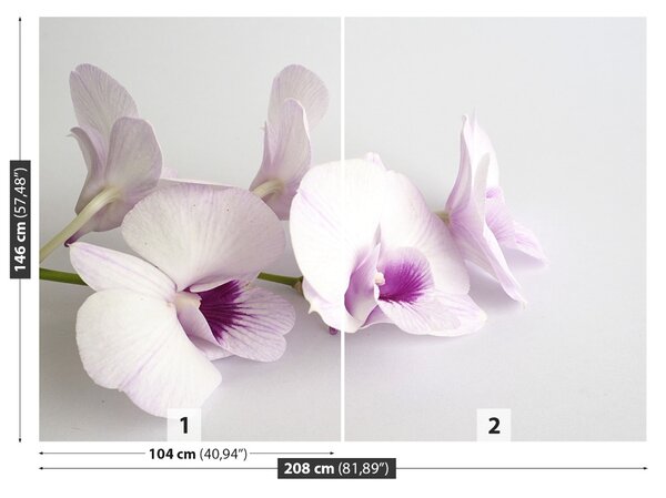Carta da parati Orchidee bianche 104x70 cm