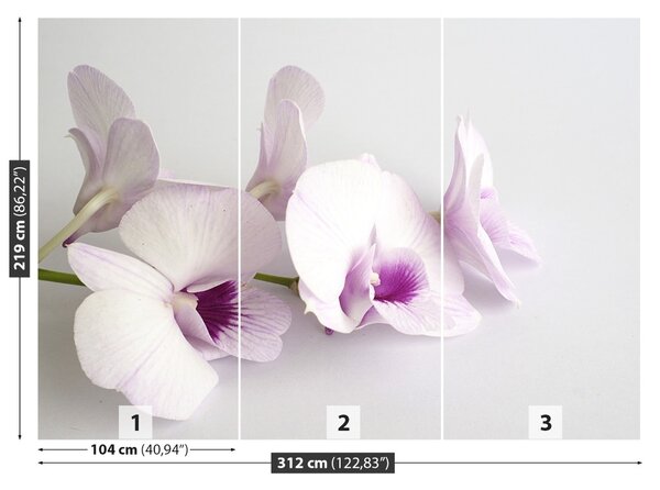Carta da parati Orchidee bianche 104x70 cm