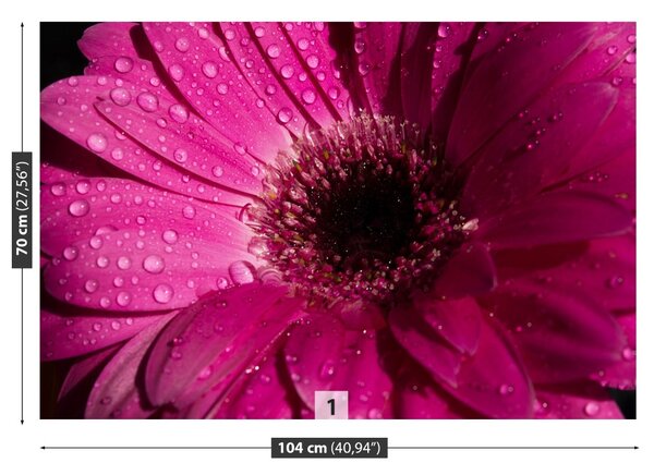 Carta da parati Purple Gerbera 104x70 cm