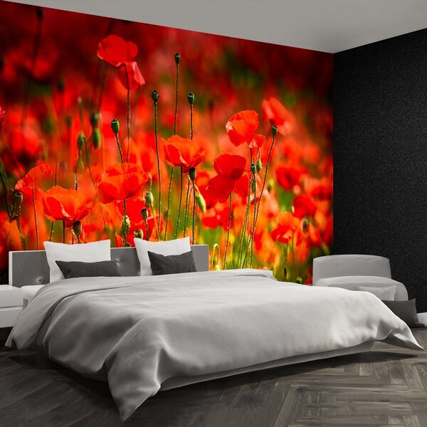 Carta da parati Maki Meadow 104x70 cm