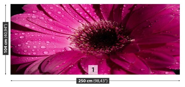 Carta da parati Purple Gerbera 104x70 cm
