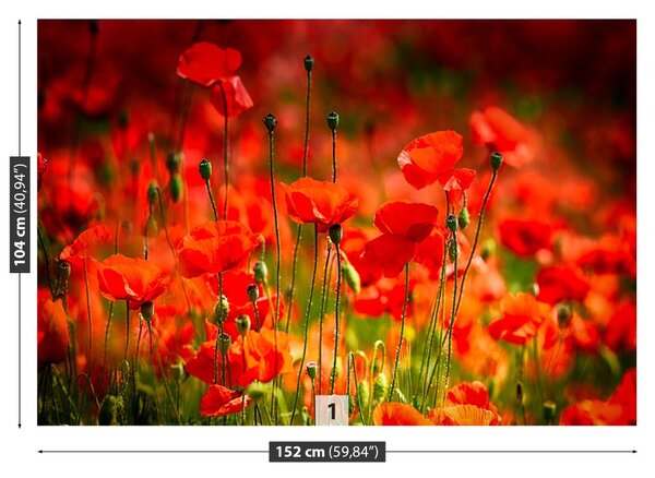 Carta da parati Maki Meadow 104x70 cm