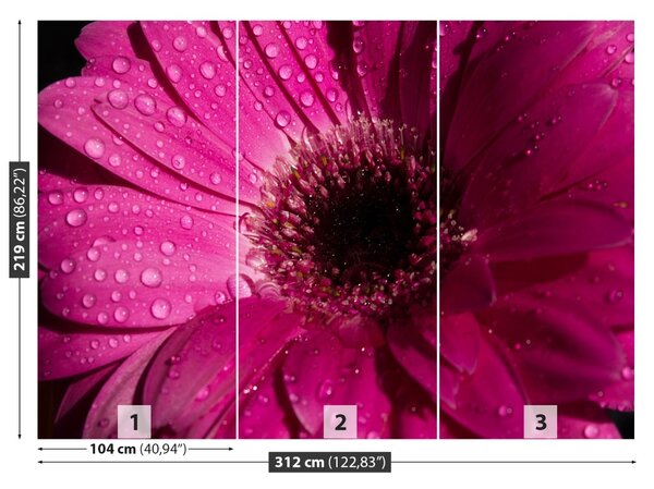 Carta da parati Purple Gerbera 104x70 cm