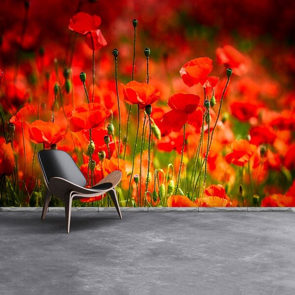 Carta da parati Maki Meadow 104x70 cm