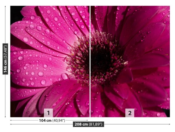 Carta da parati Purple Gerbera 104x70 cm