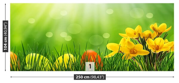 Carta da parati Crocus di Pasqua 104x70 cm