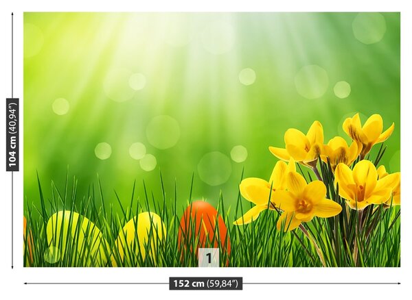 Carta da parati Crocus di Pasqua 104x70 cm