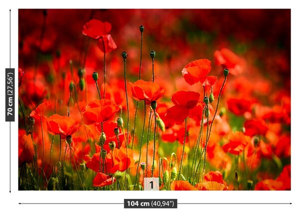 Carta da parati Maki Meadow 104x70 cm