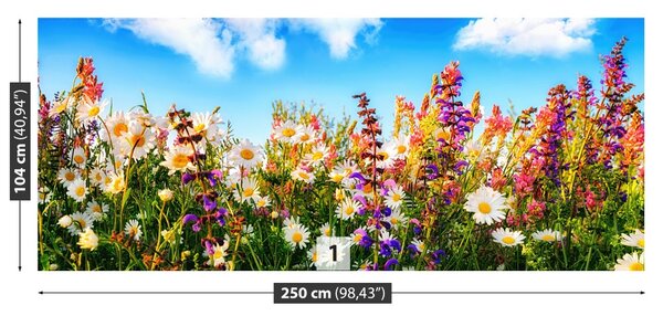 Carta da parati Fiori di primavera 104x70 cm
