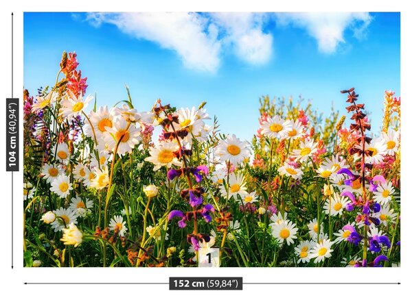 Carta da parati Fiori di primavera 104x70 cm