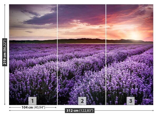 Carta da parati Campo di lavanda 104x70 cm