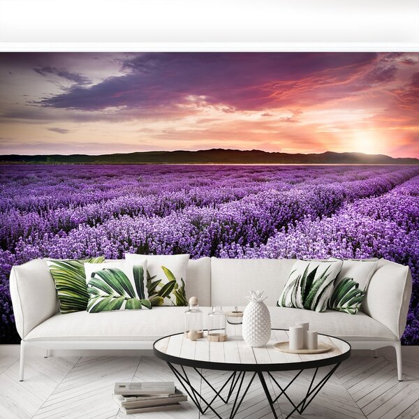 Carta da parati Campo di lavanda 104x70 cm