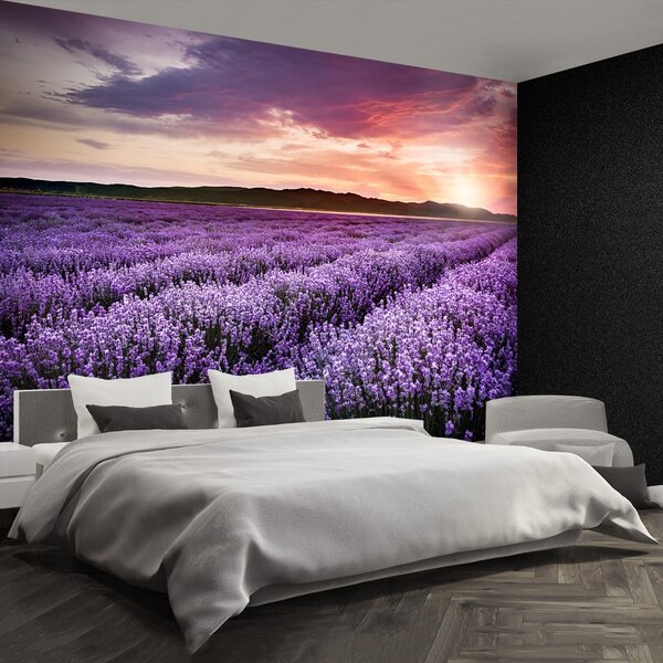 Carta da parati Campo di lavanda 104x70 cm