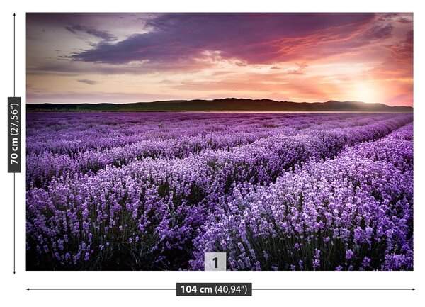 Carta da parati Campo di lavanda 104x70 cm