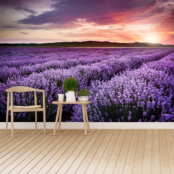 Carta da parati Campo di lavanda 104x70 cm
