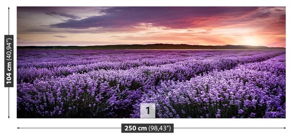Carta da parati Campo di lavanda 104x70 cm