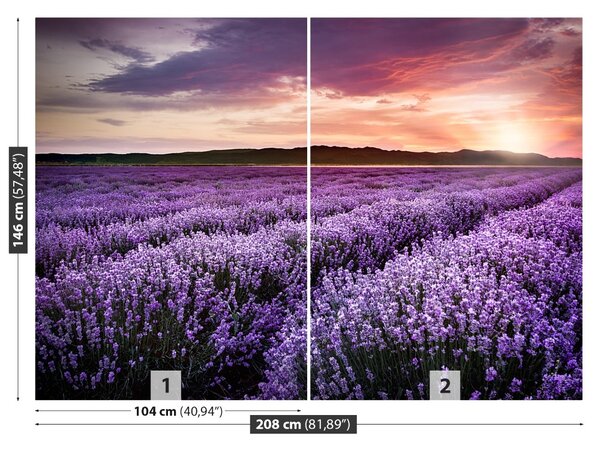 Carta da parati Campo di lavanda 104x70 cm