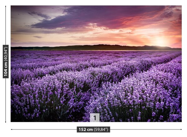 Carta da parati Campo di lavanda 104x70 cm
