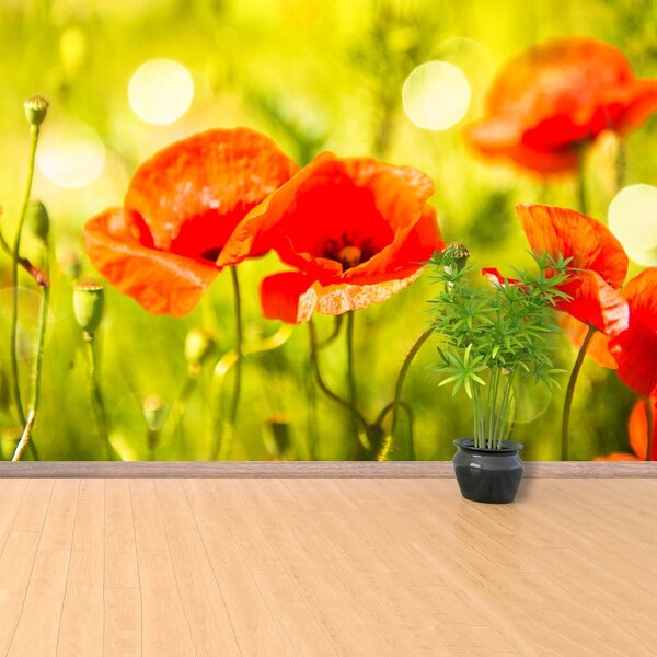 Carta da parati Maki Meadow 104x70 cm