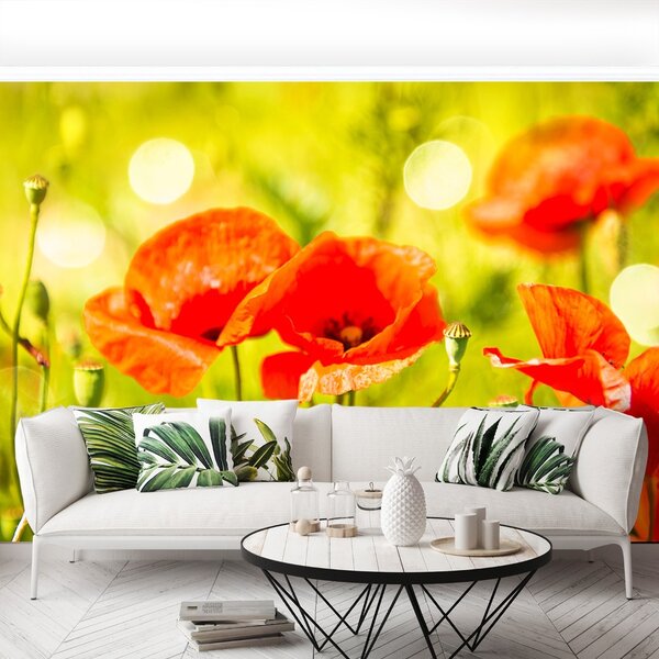 Carta da parati Maki Meadow 104x70 cm