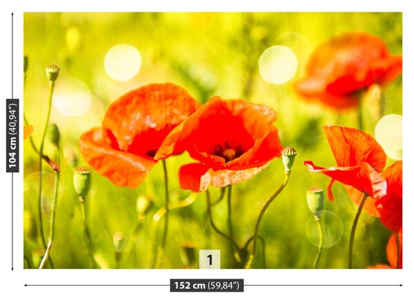 Carta da parati Maki Meadow 104x70 cm