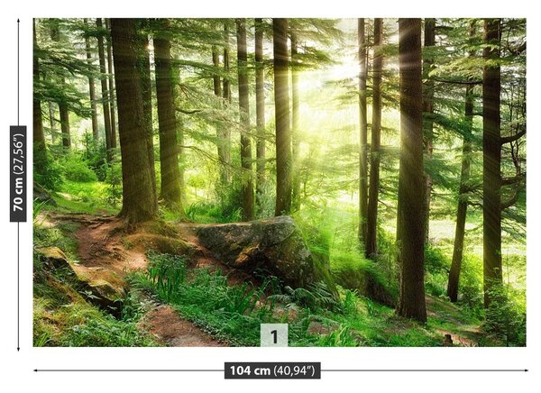 Carta da parati Foresta nebbiosa 104x70 cm