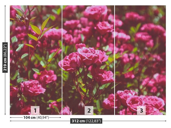 Carta da parati Rose rosa 104x70 cm