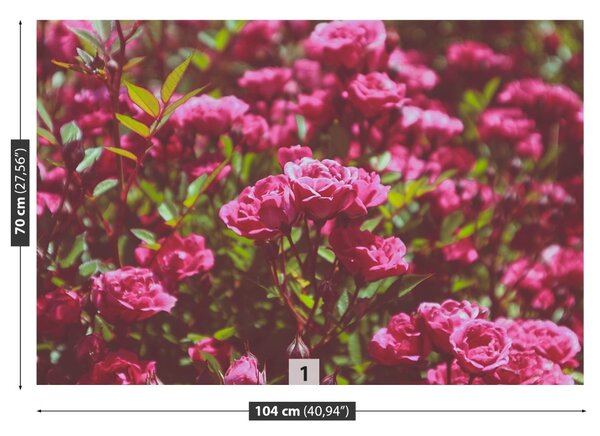 Carta da parati Rose rosa 104x70 cm