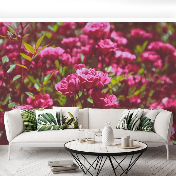 Carta da parati Rose rosa 104x70 cm