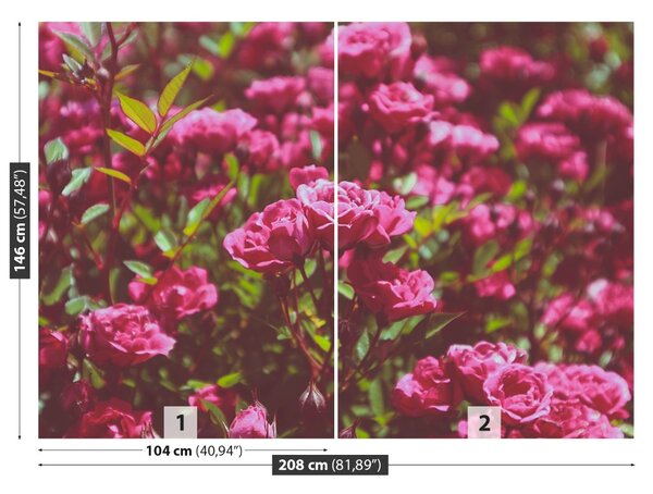Carta da parati Rose rosa 104x70 cm