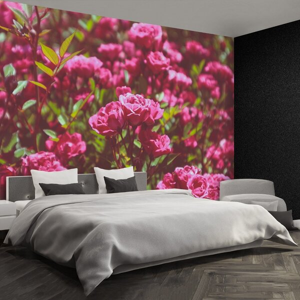 Carta da parati Rose rosa 104x70 cm