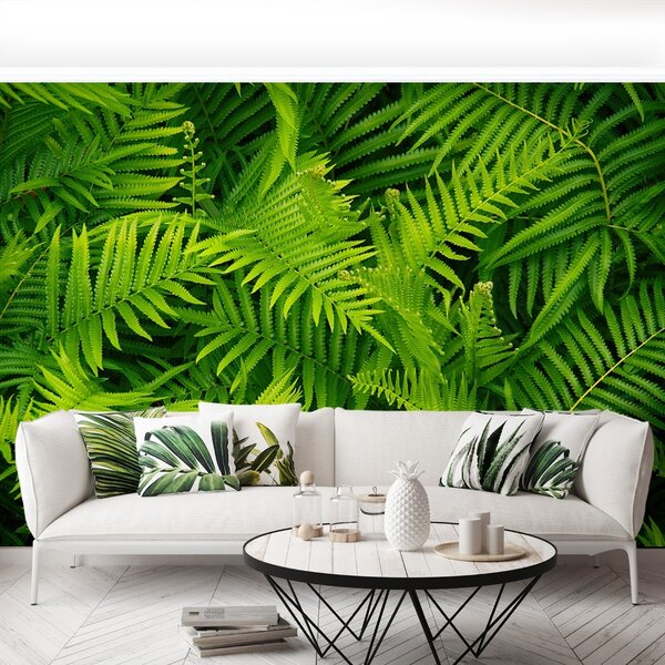 Carta da parati Felce verde 104x70 cm