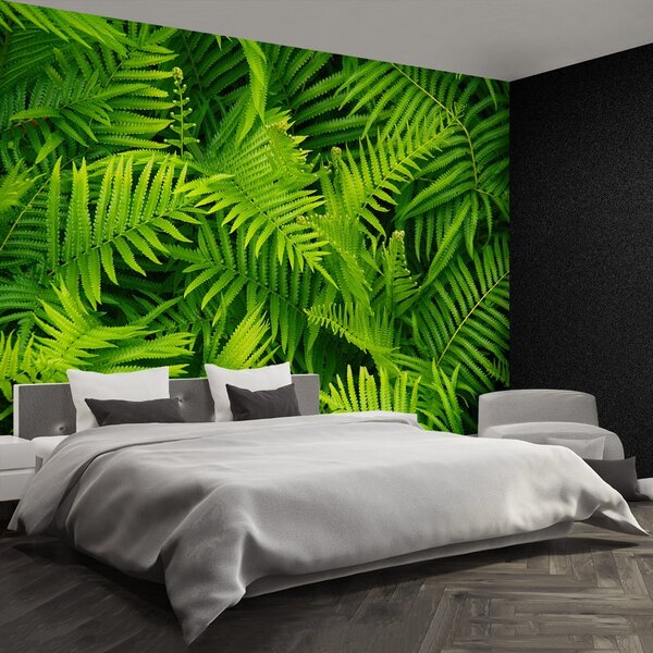 Carta da parati Felce verde 104x70 cm