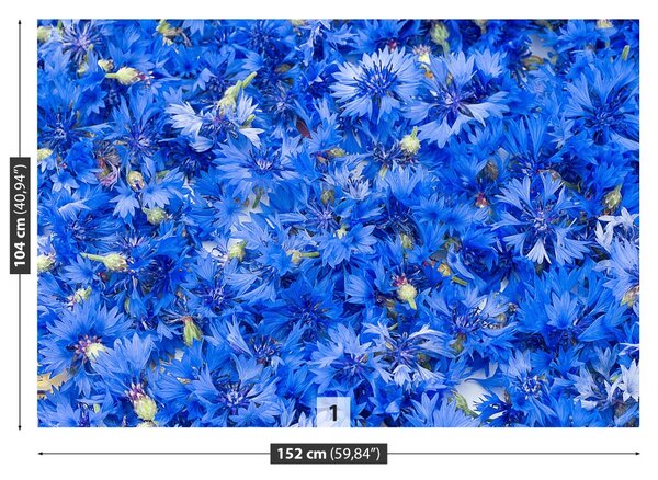 Carta da parati Flusso di mais blu 104x70 cm