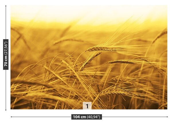 Carta da parati Campo di grano 104x70 cm
