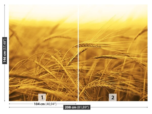 Carta da parati Campo di grano 104x70 cm