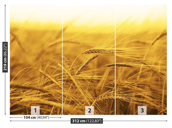 Carta da parati Campo di grano 104x70 cm