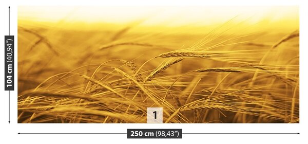 Carta da parati Campo di grano 104x70 cm