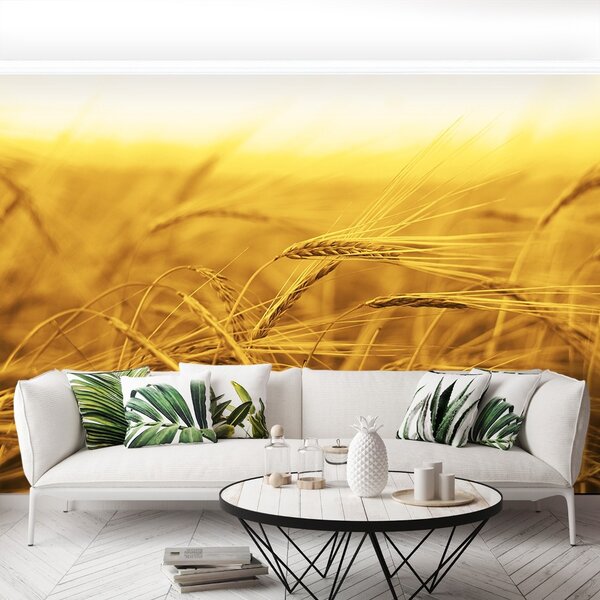 Carta da parati Campo di grano 104x70 cm
