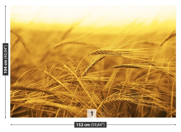 Carta da parati Campo di grano 104x70 cm
