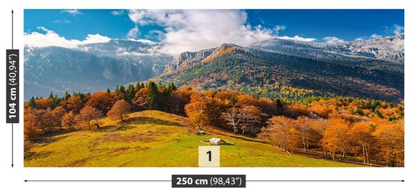 Carta da parati Montagne in autunno 104x70 cm