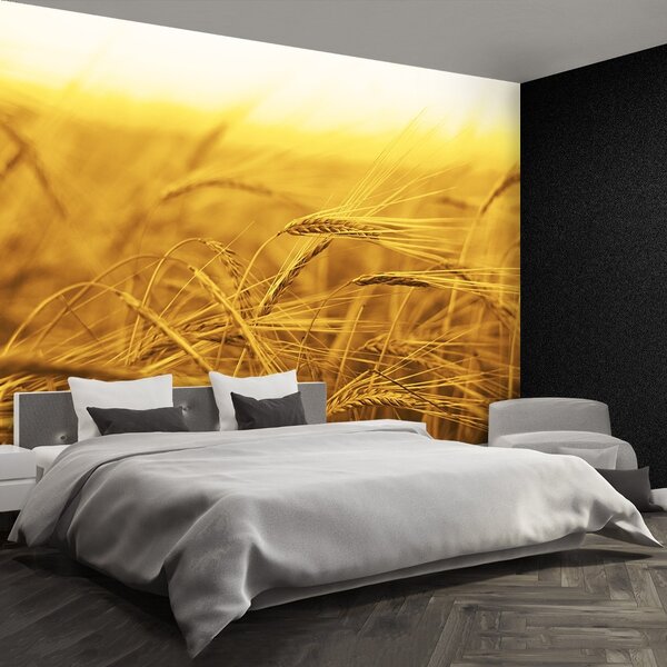 Carta da parati Campo di grano 104x70 cm