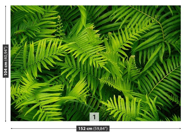 Carta da parati Felce verde 104x70 cm