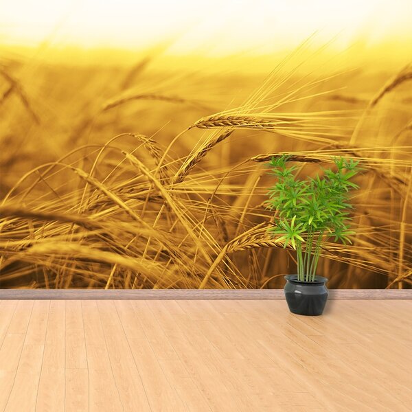 Carta da parati Campo di grano 104x70 cm