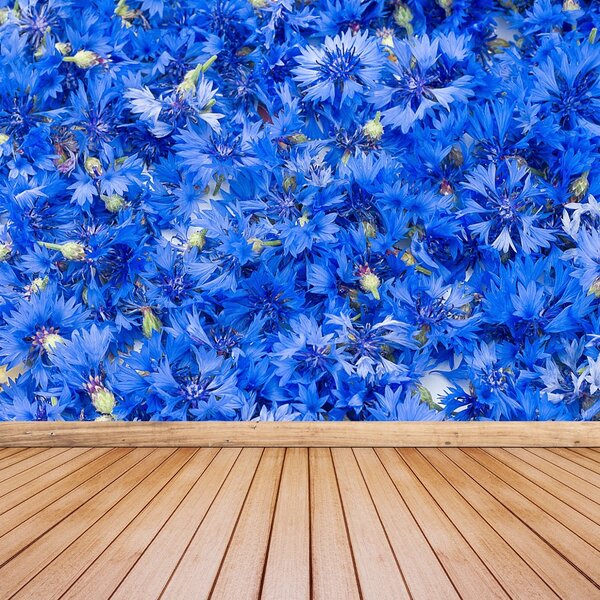 Carta da parati Flusso di mais blu 104x70 cm