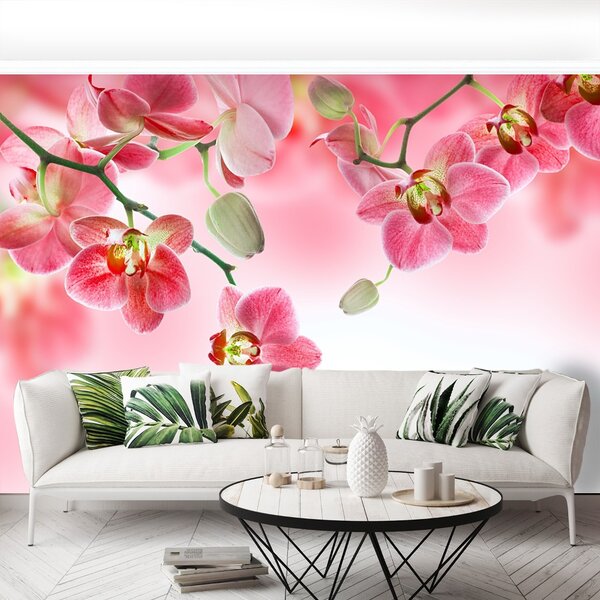 Carta da parati Orchidee tropicali 104x70 cm