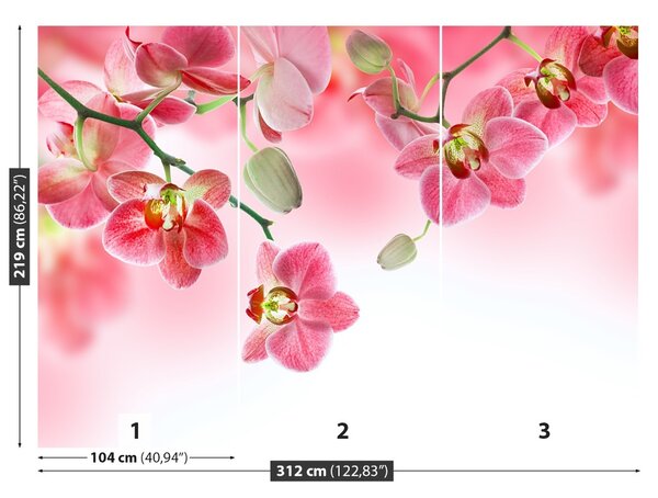 Carta da parati Orchidee tropicali 104x70 cm