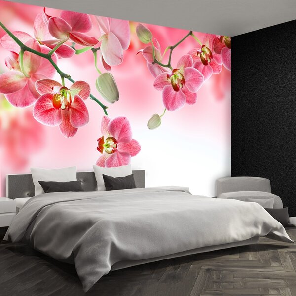 Carta da parati Orchidee tropicali 104x70 cm